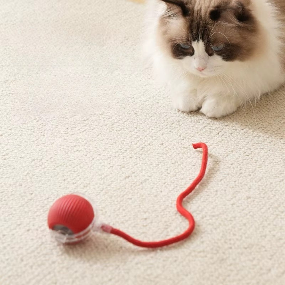 Interaktiv Självgående Kattboll