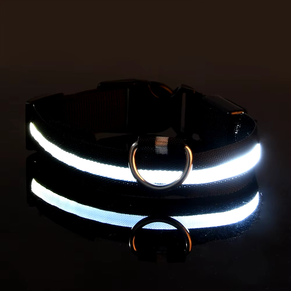 LED Hundhalsband