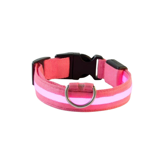 LED Hundhalsband