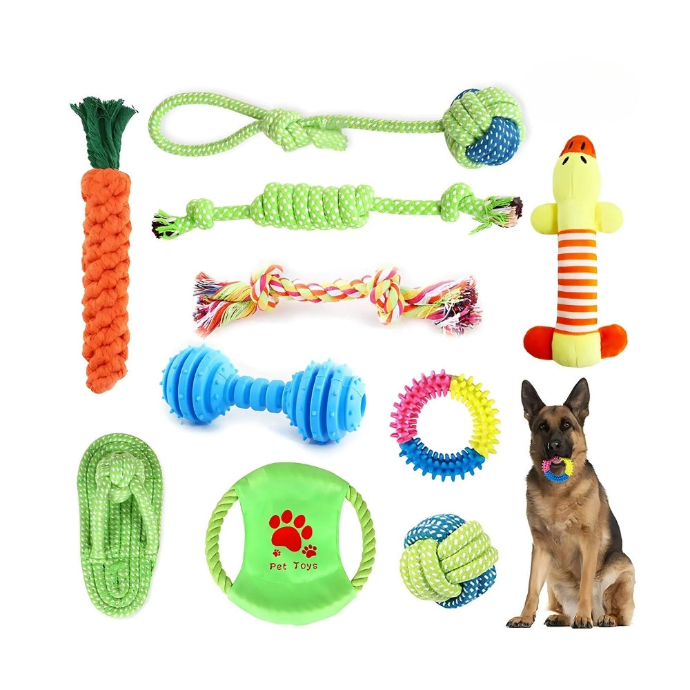 Tuggleksaker Hund 10-pack