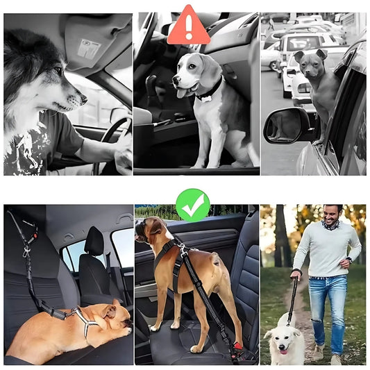 Bilbälte Hund 2-i-1