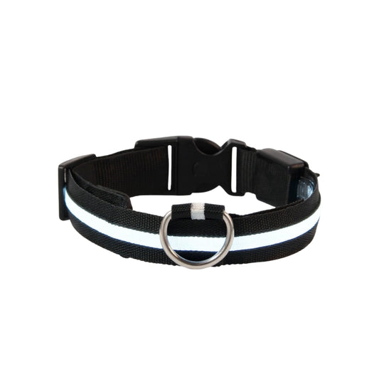 LED Hundhalsband