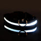 LED Hundhalsband