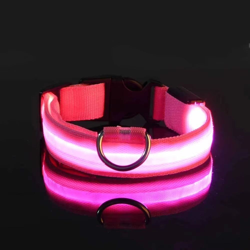 LED Hundhalsband