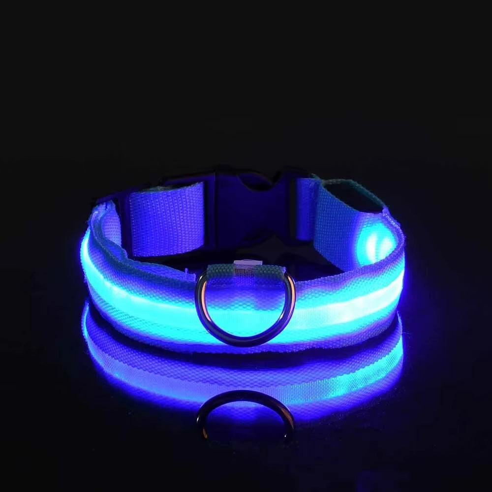 LED Hundhalsband