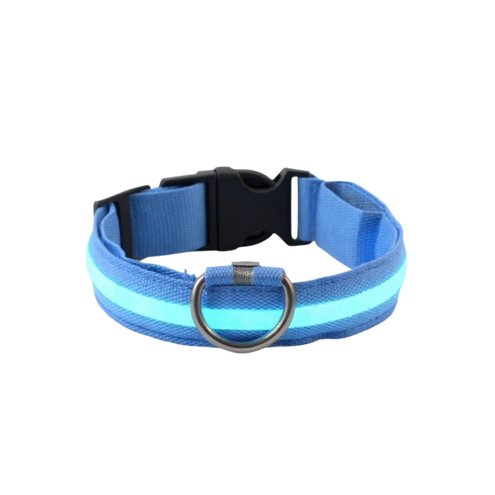 LED Hundhalsband