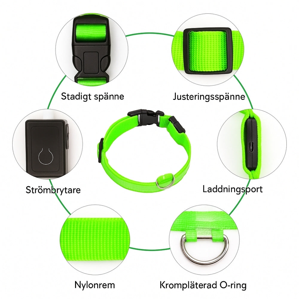 LED Hundhalsband