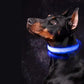 LED Hundhalsband